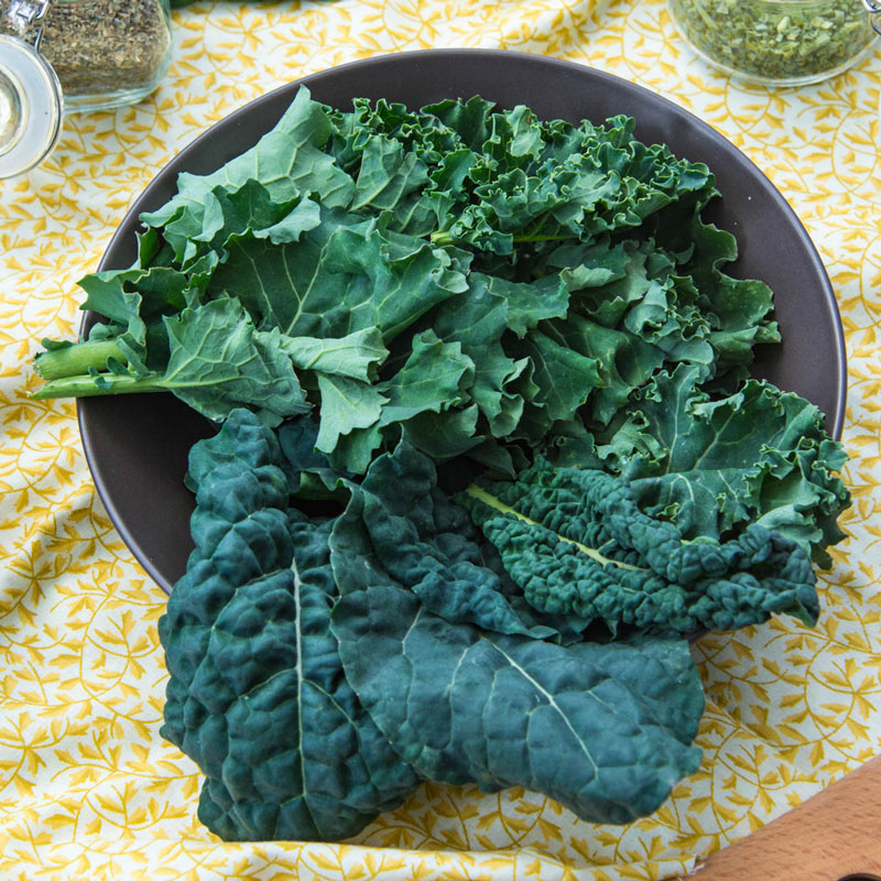 Gurneys Winter Wonderland Mixed Kale Seed