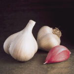 Walla Walla Early Garlic