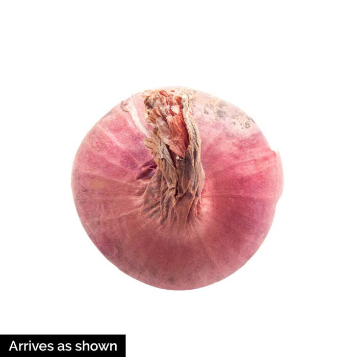Red Sun Shallot Set