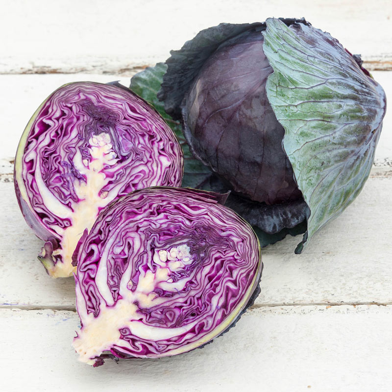 Omero Hybrid Cabbage Seed