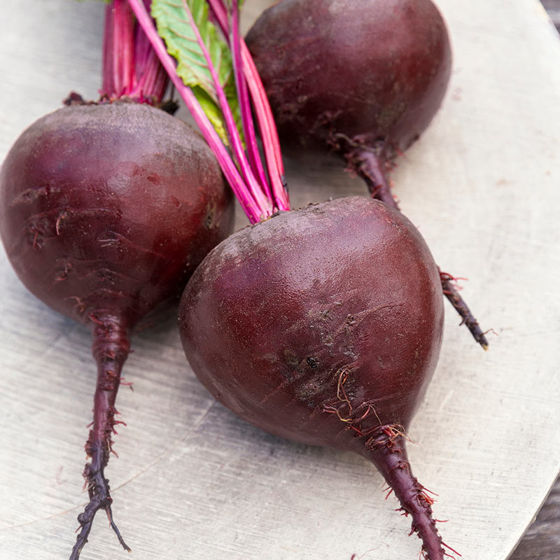 Red Titan Hybrid Beet Seed