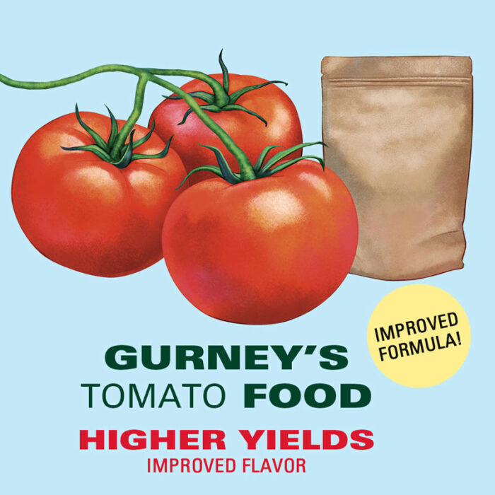 Gurneys Salad Lovers Collections