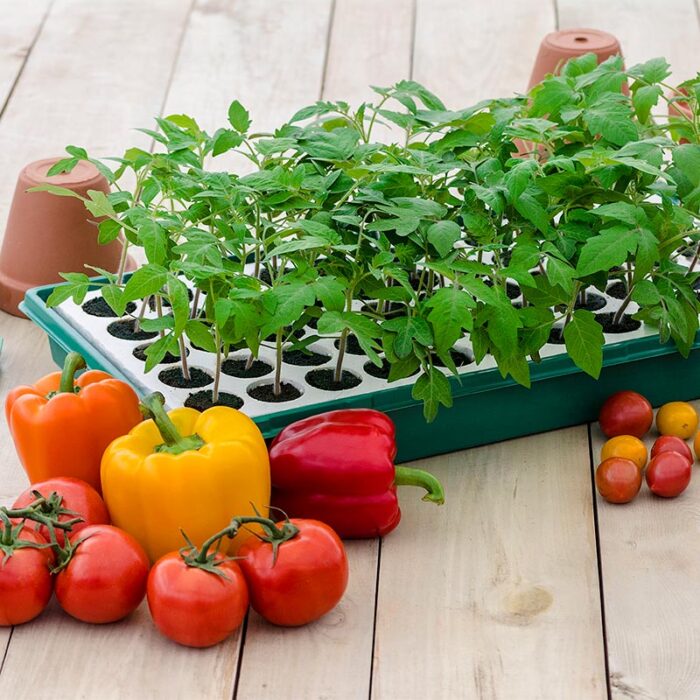 Gurneys Salad Lovers Collections