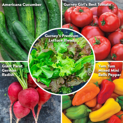 Gurneys Salad Lovers Collections