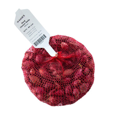 Red Onion Set