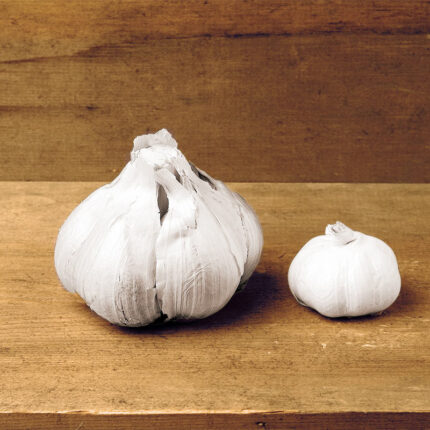 Elephant Garlic
