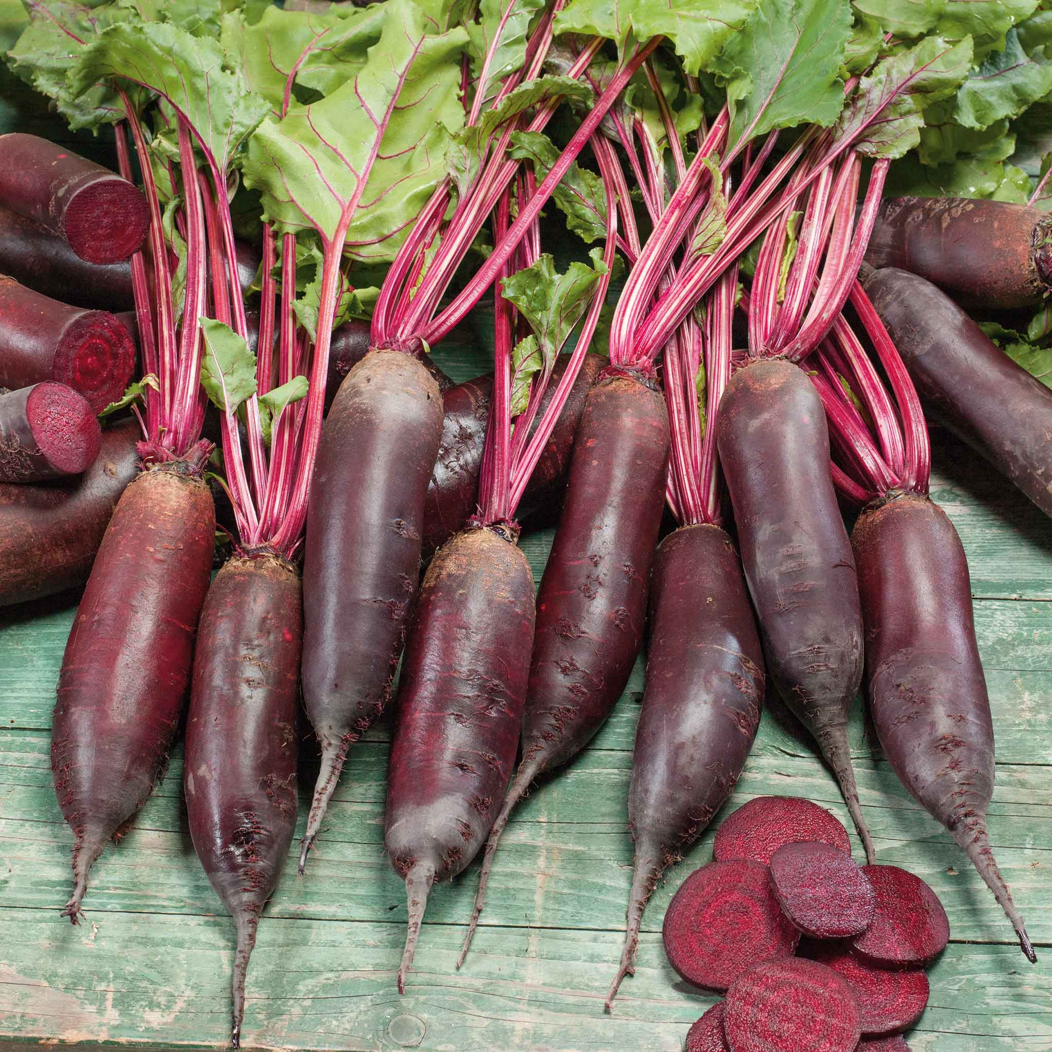 Beet Seeds - Cylindra