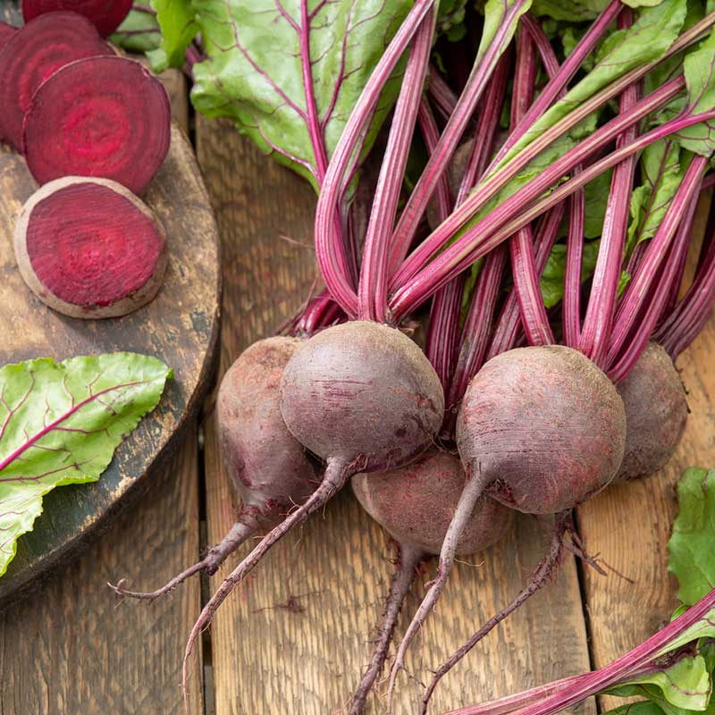 Organic Beet Seeds - Detroit Dark Red