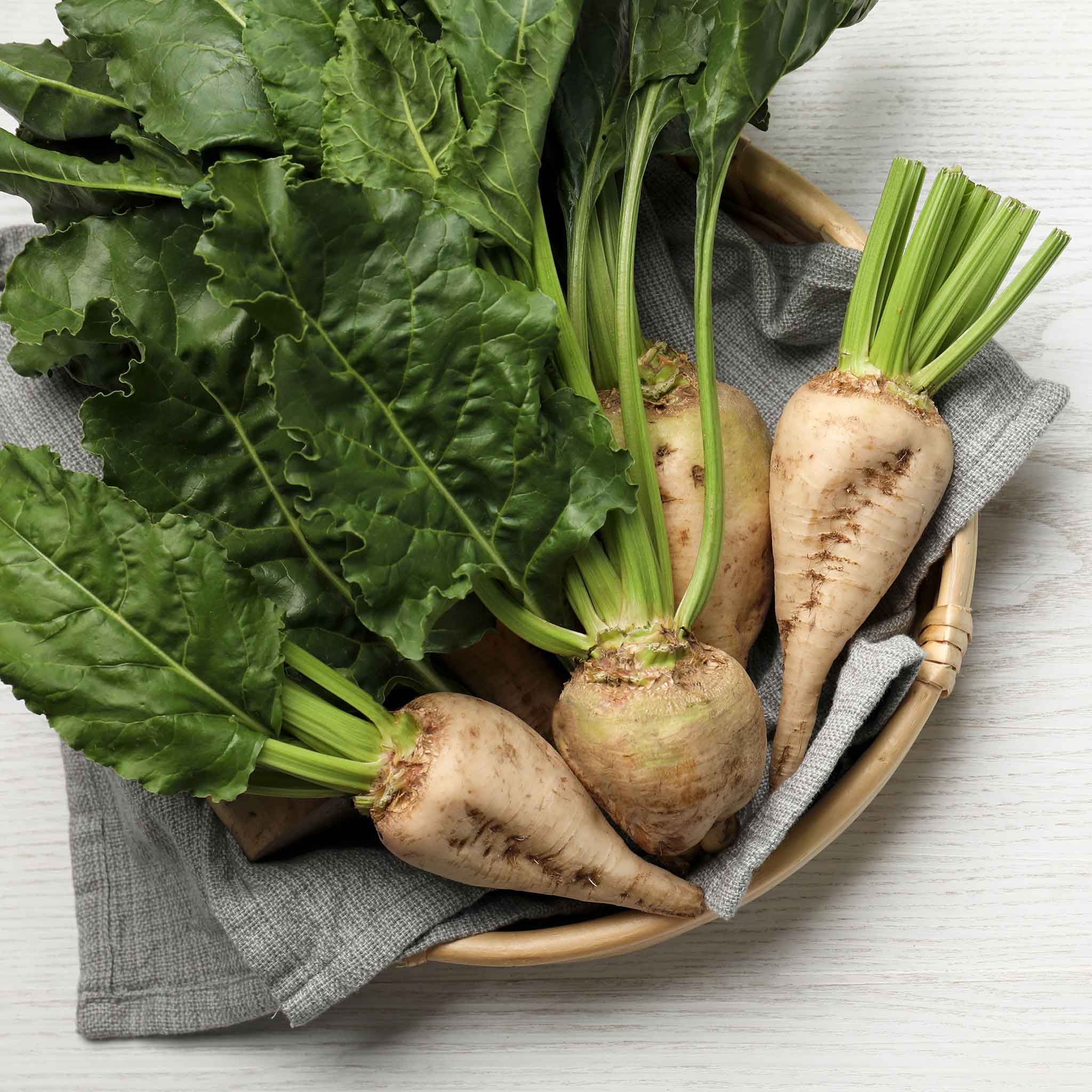 Sugar Beet Seeds
