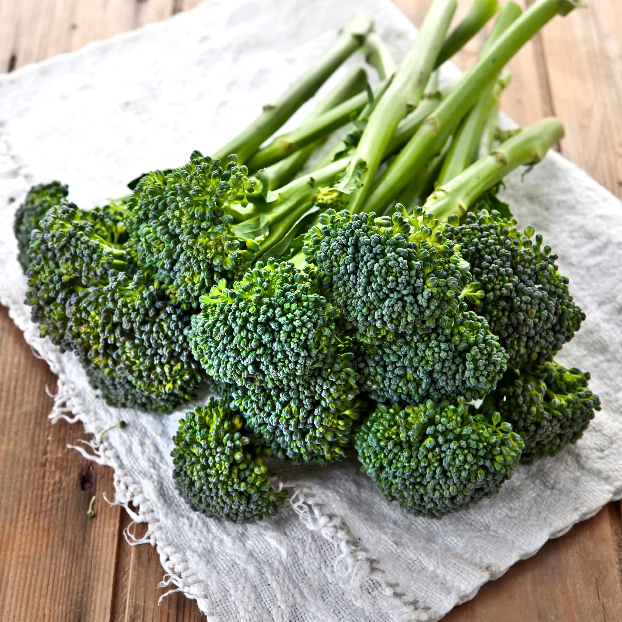 Broccoli Seeds - Di Ciccio