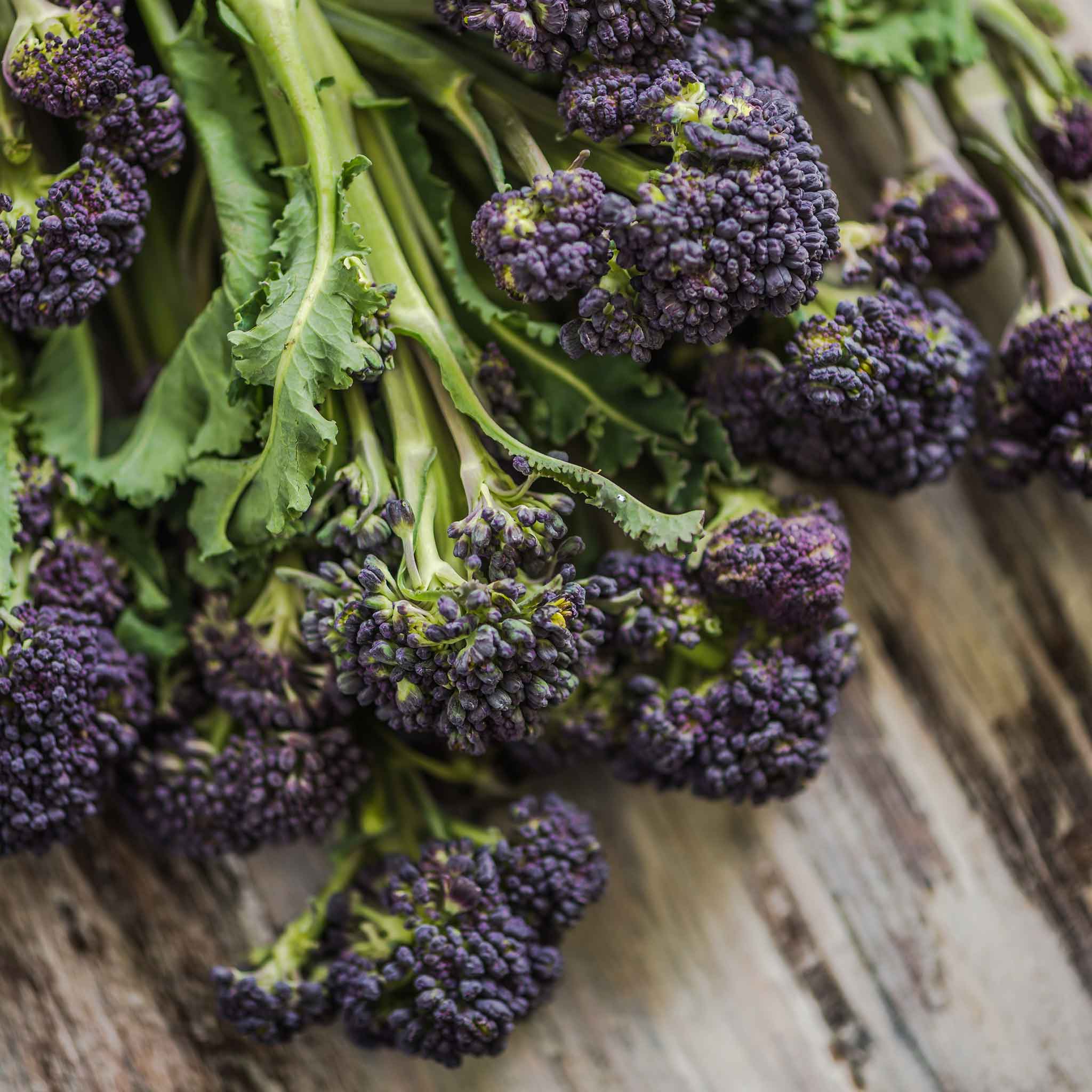 Broccoli Seeds - Purple Sprouting