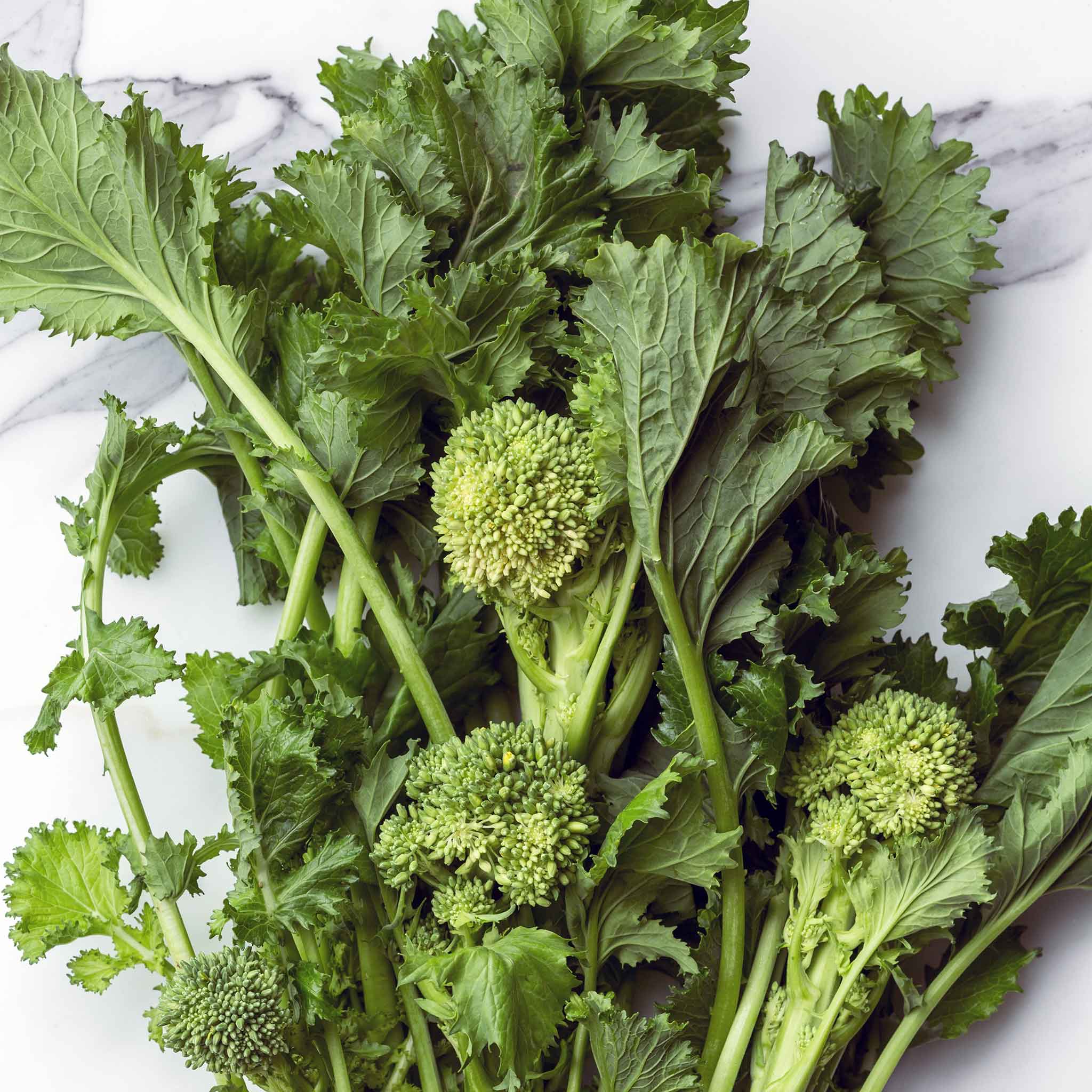 Broccoli-Raab Seeds - Spring Rapini