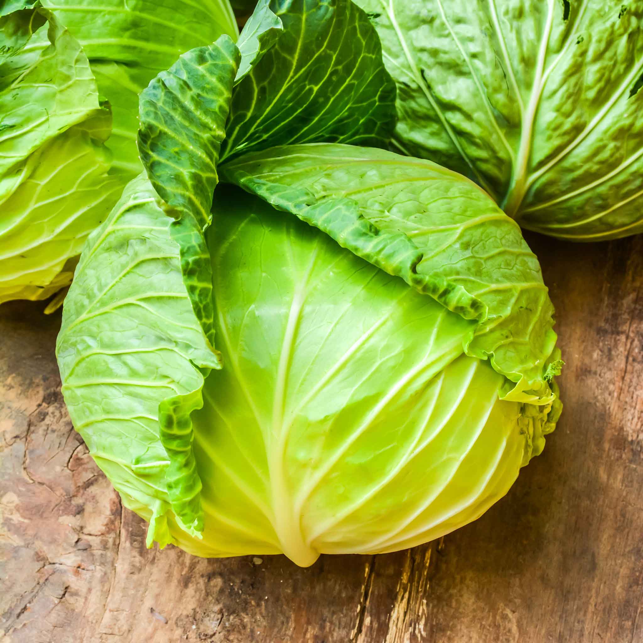 Cabbage Seeds - Copenhagen Market