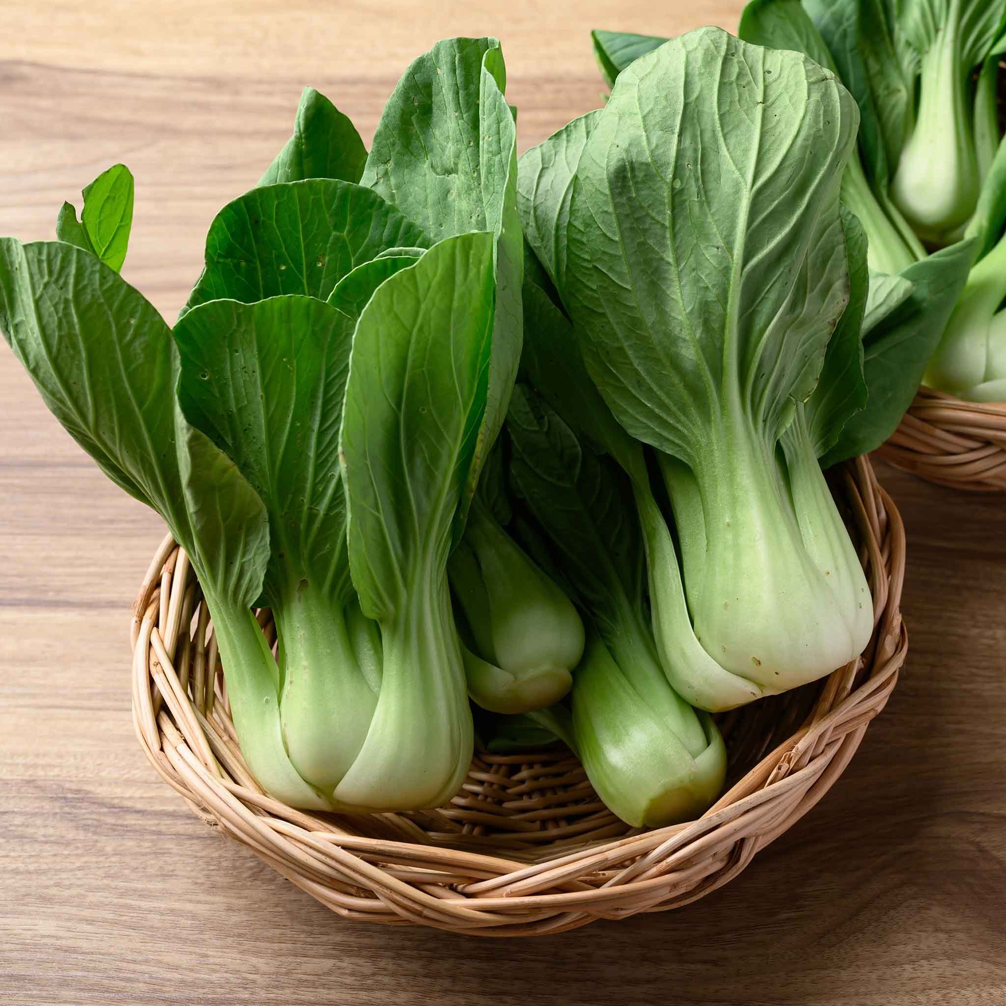 Organic Cabbage Seeds - Pak Choy White Stem