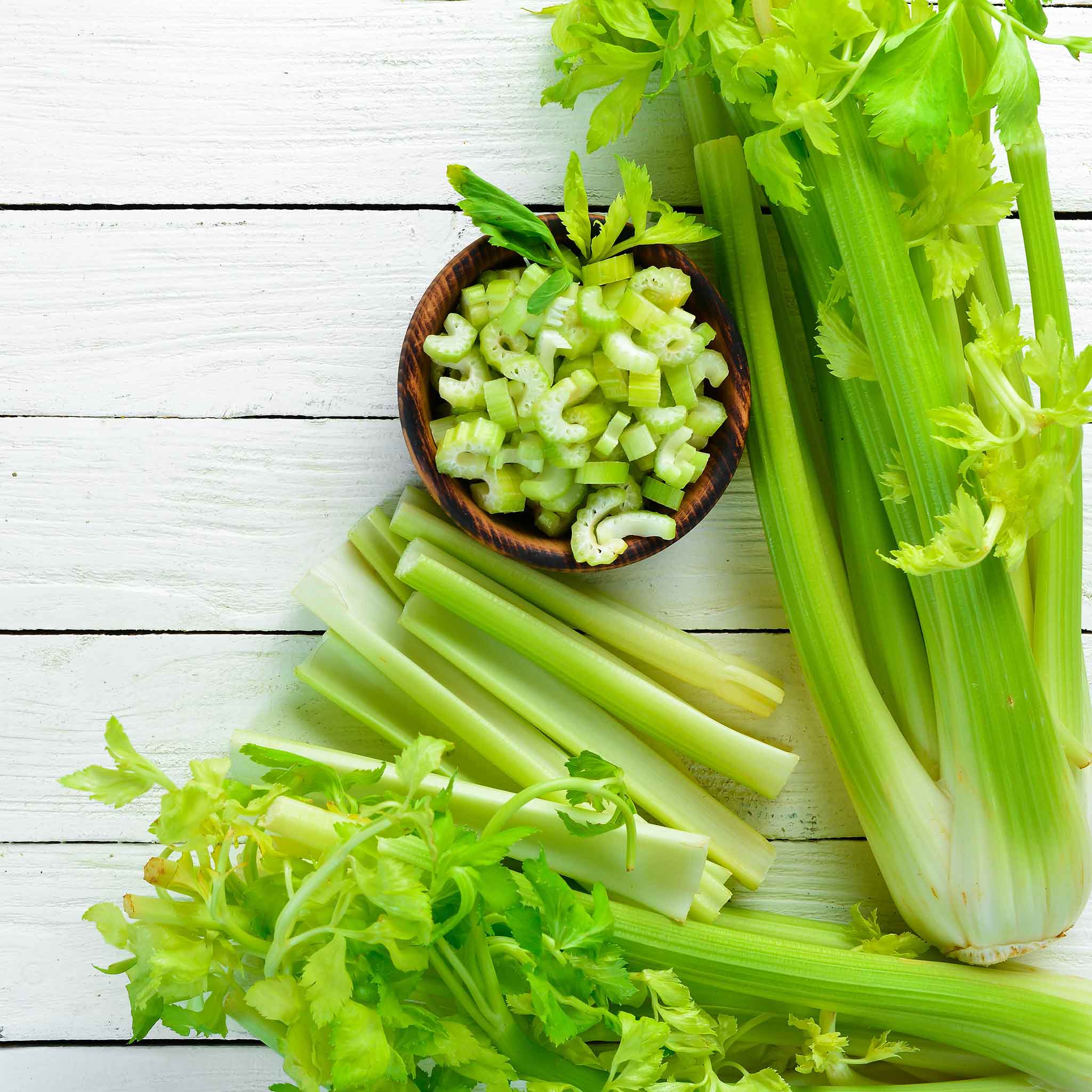 Organic Celery Seeds - Tall Utah