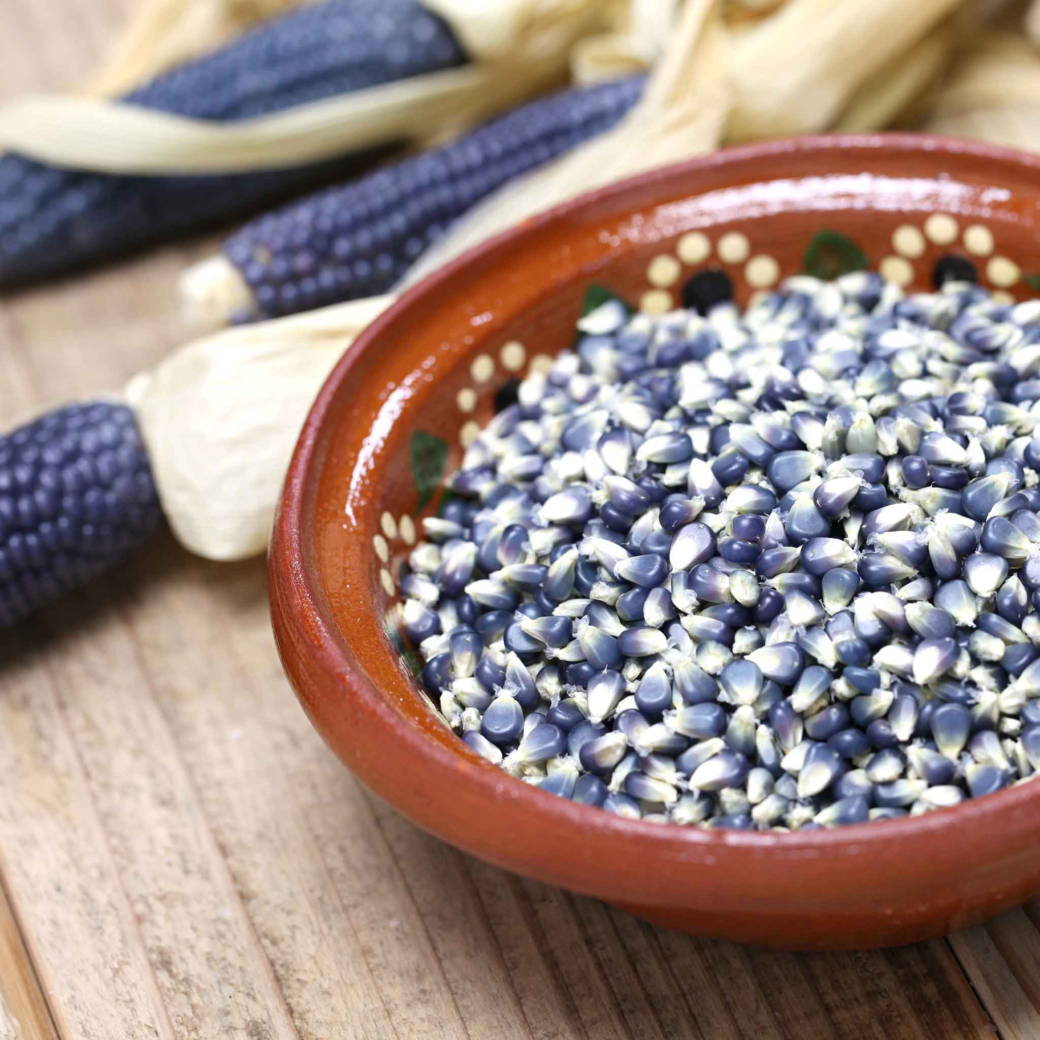 Corn Seeds - Blue Hopi