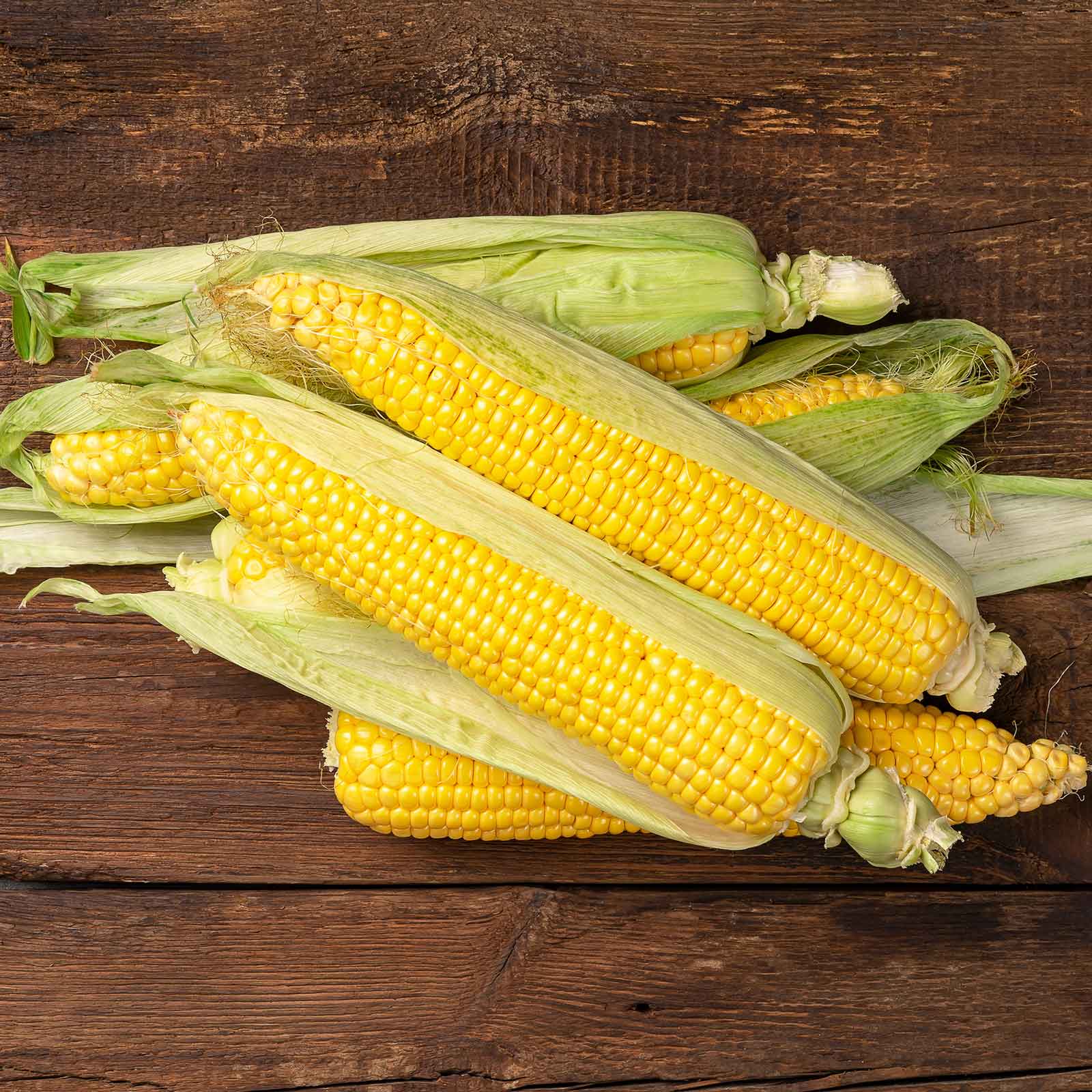 Corn Seeds - Jubilee