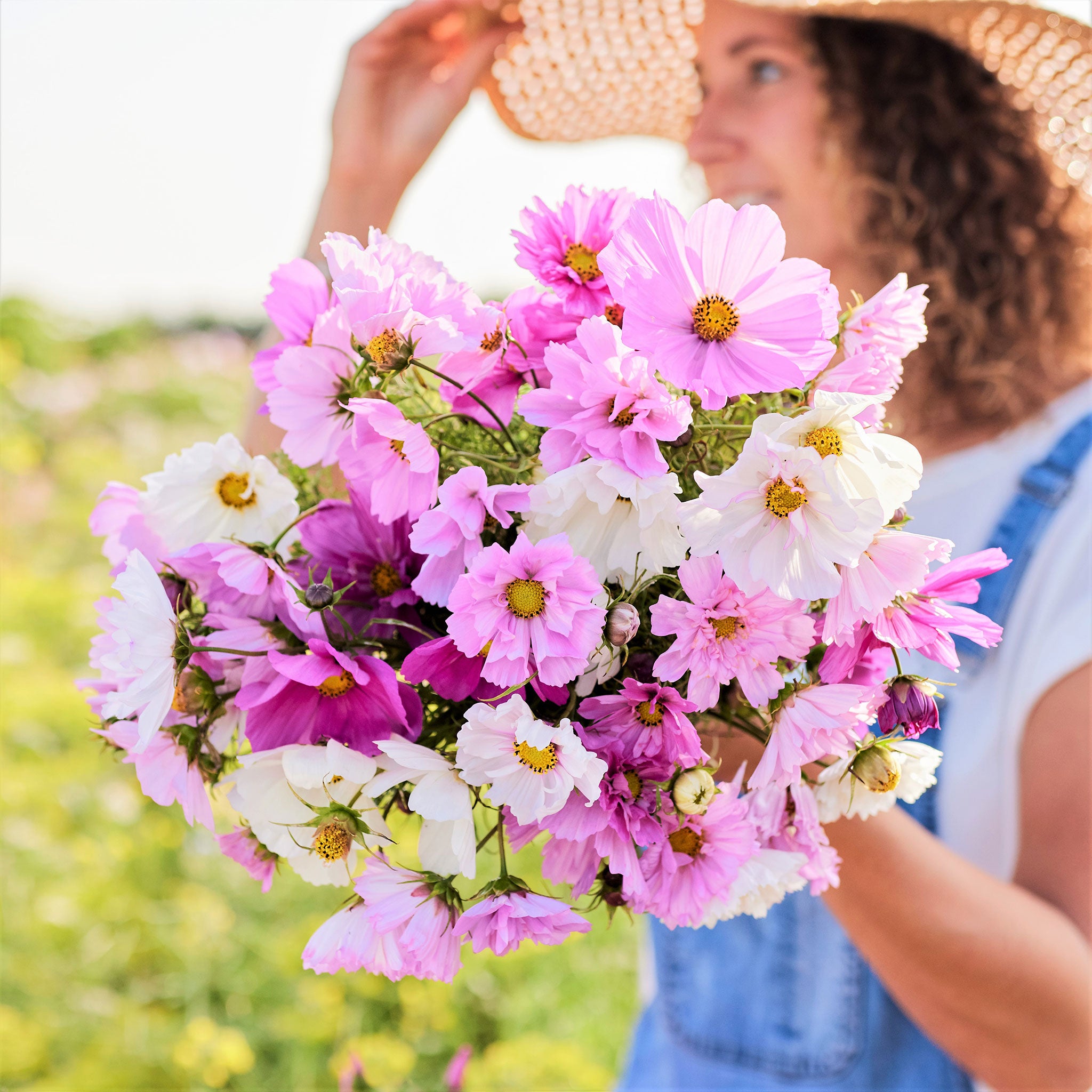 Cosmos Seeds - Double Click - Mixed