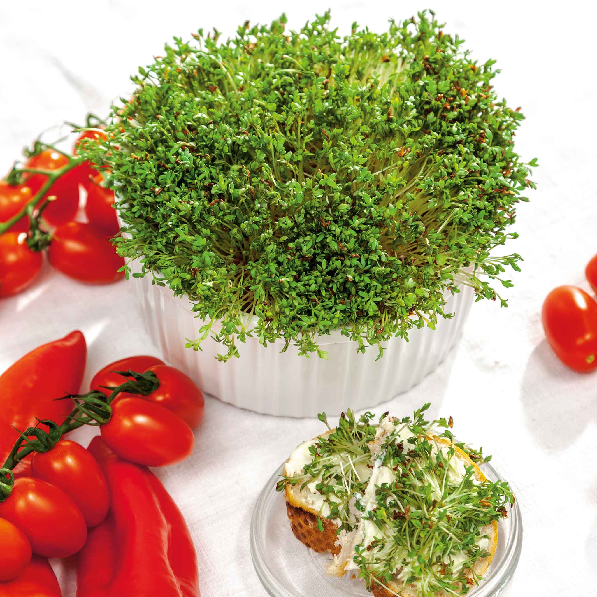 Cress Seeds - Curled