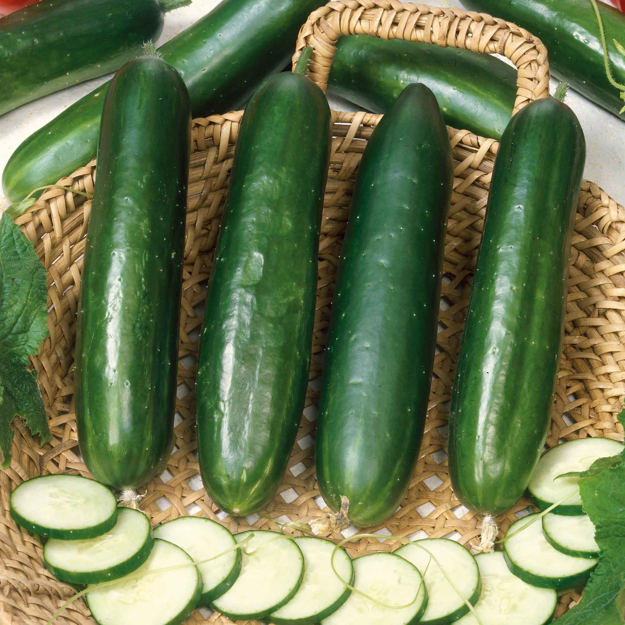 Cucumber Seeds - Long Green Improved