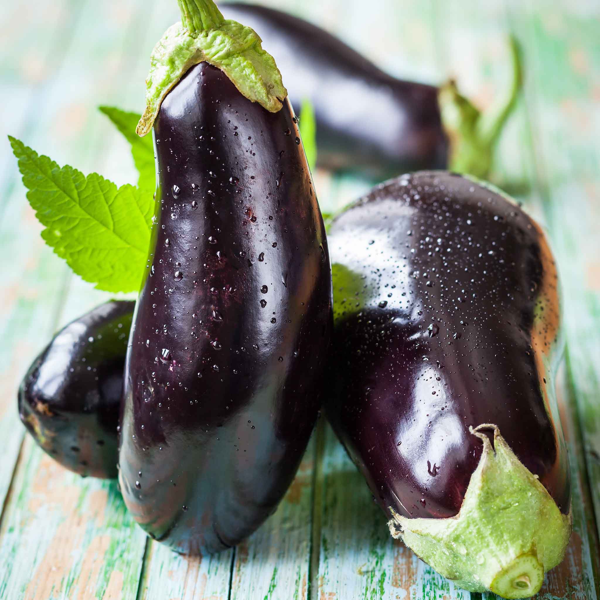 Eggplant Seeds - Black Beauty