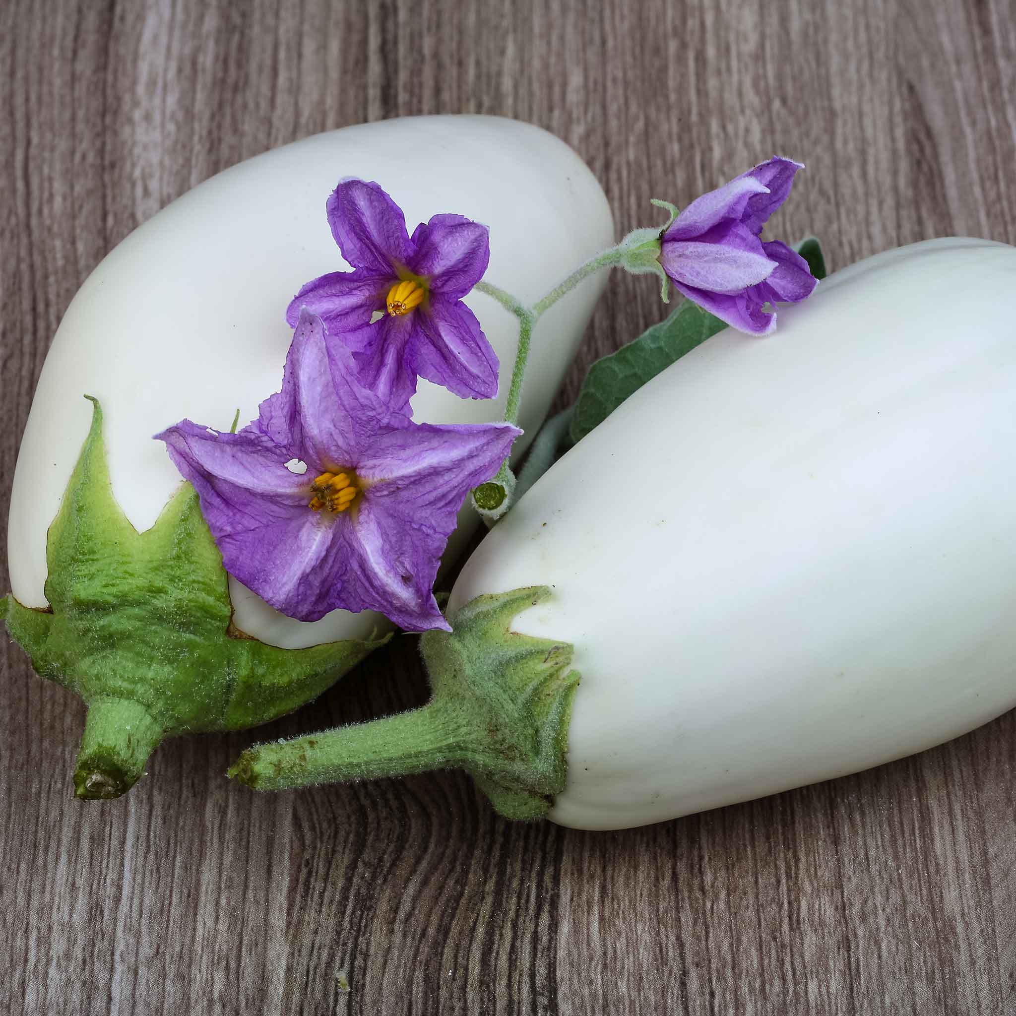 Eggplant Seeds - Casper
