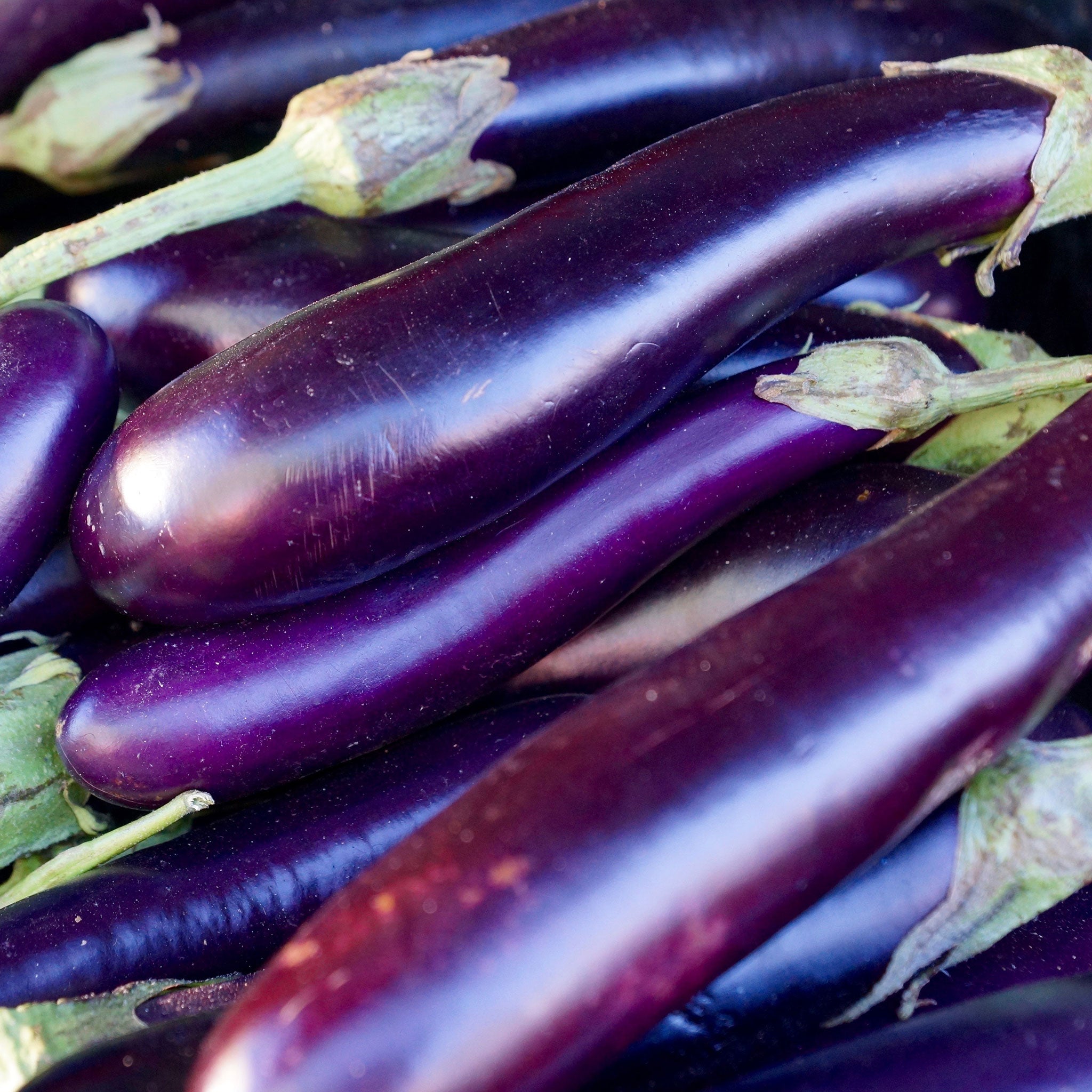 Eggplant Seeds - Long Purple