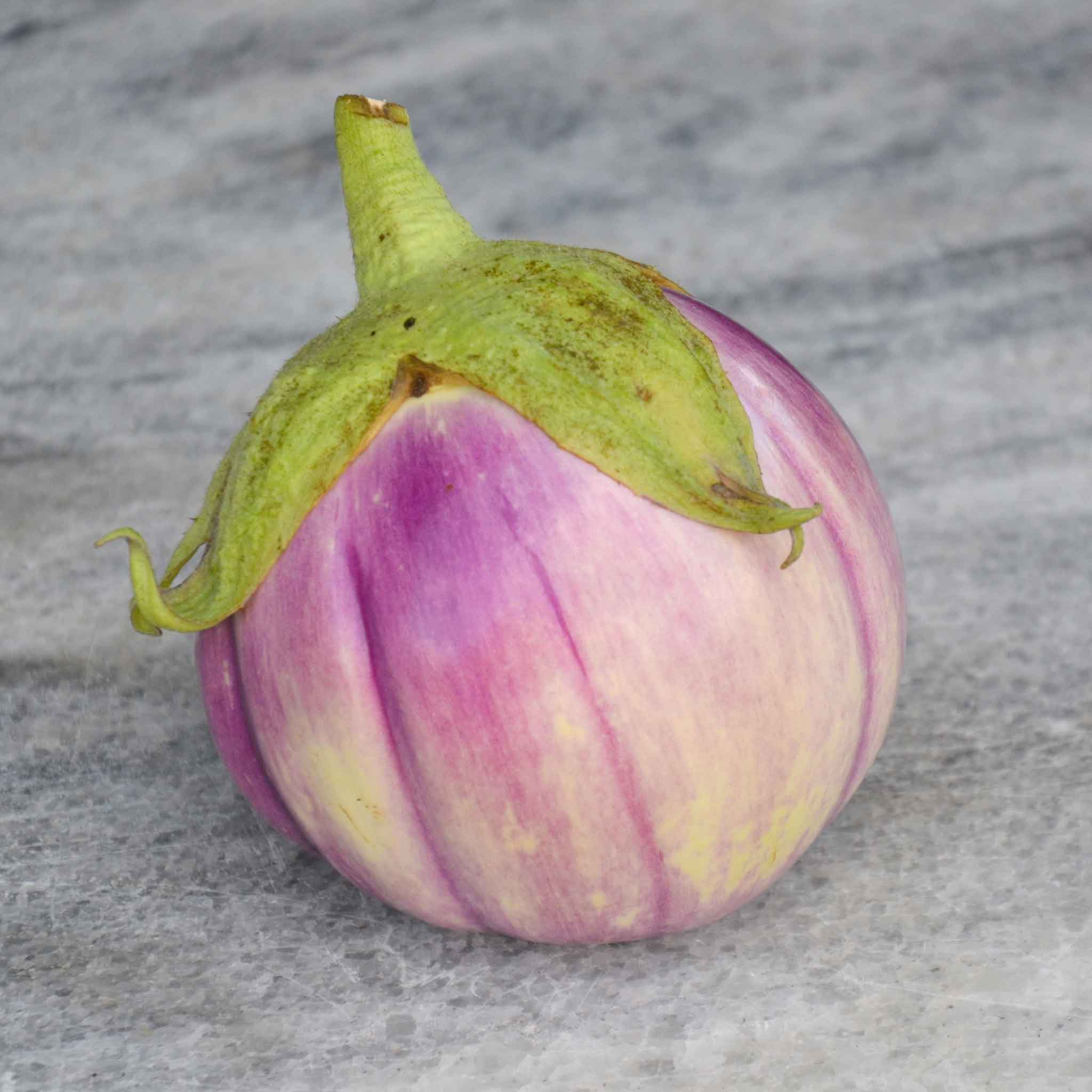 Eggplant Seeds - Rosa Bianca