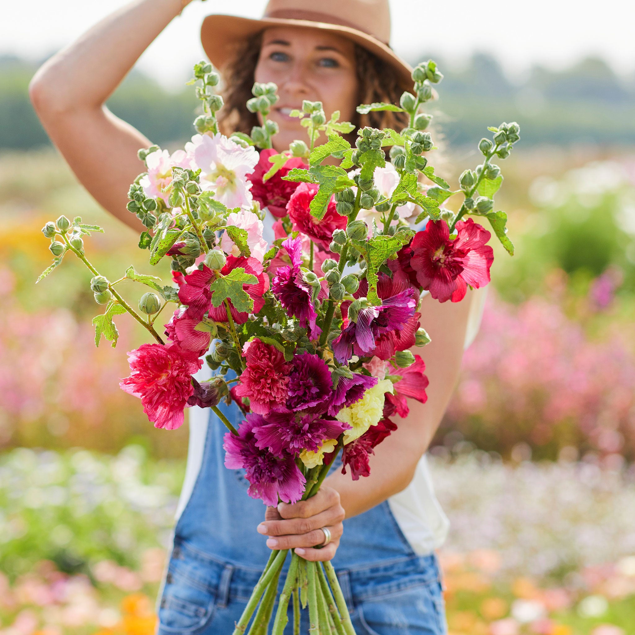 Hollyhock Seeds - Queeny Mix