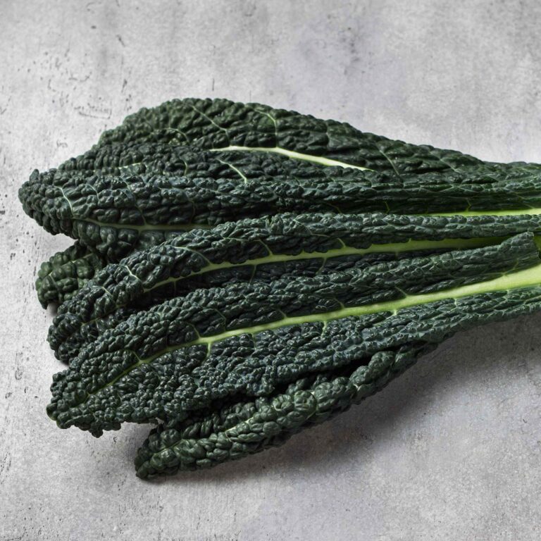 Organic Kale Seeds - Lacinato
