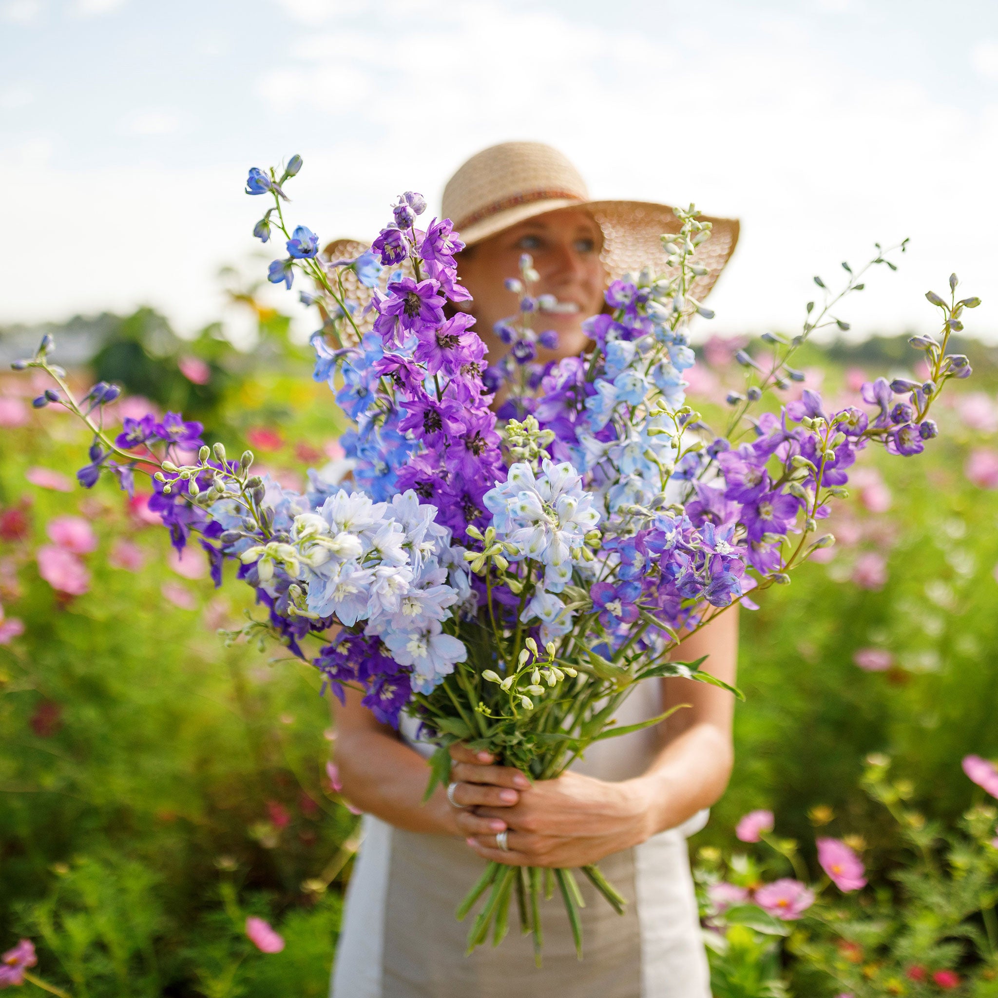 Rocket Larkspur Seeds - Tall Mix