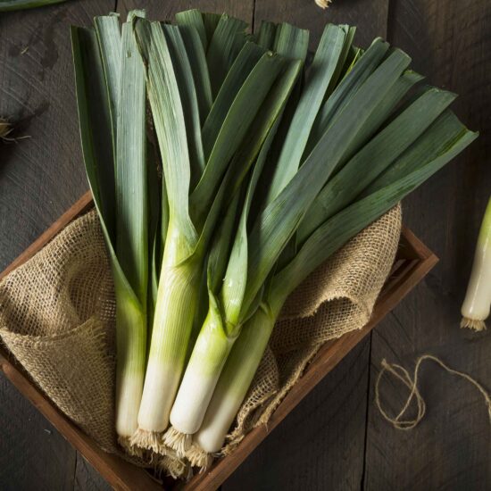 Leek Seeds - American Flag