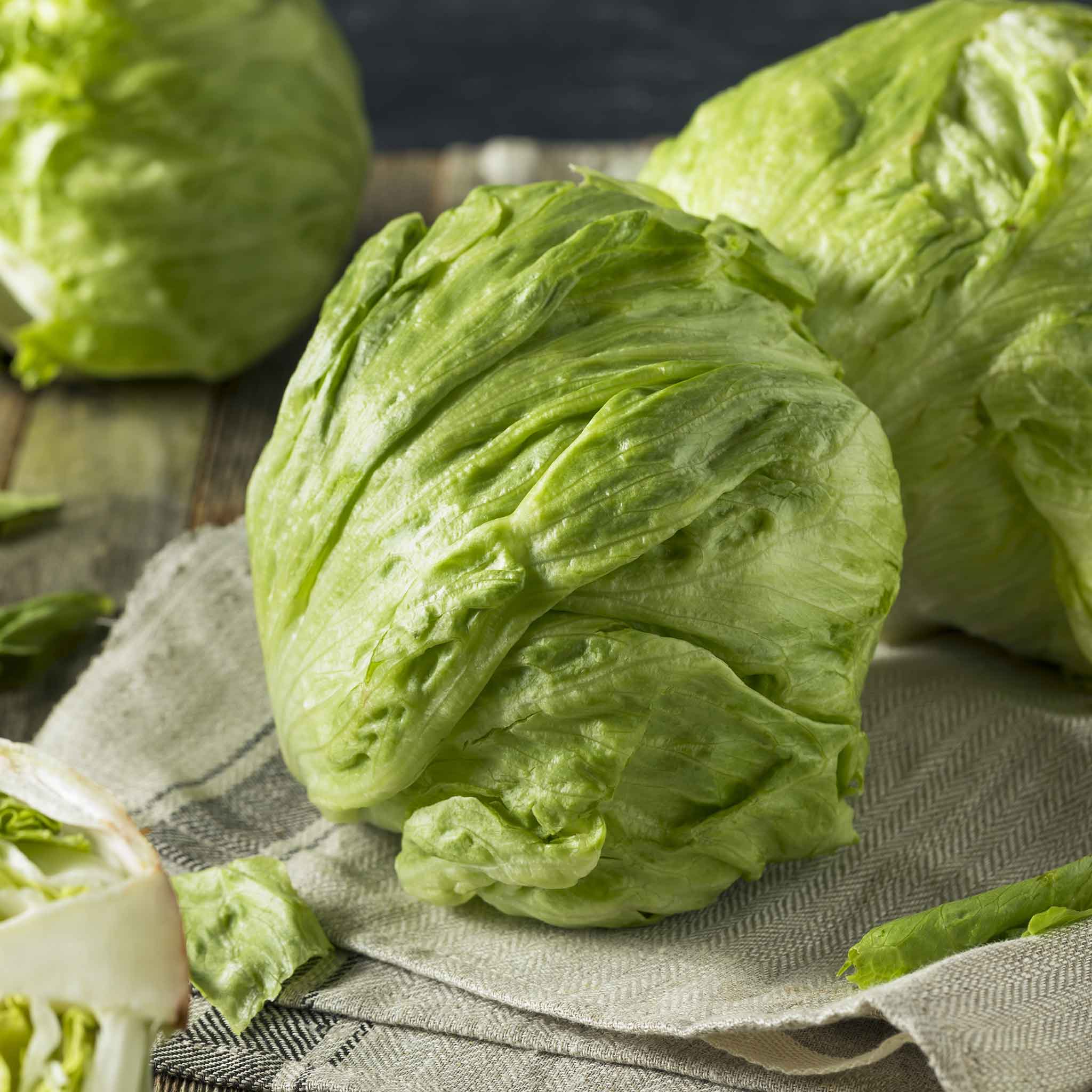 Lettuce Seeds - Iceberg