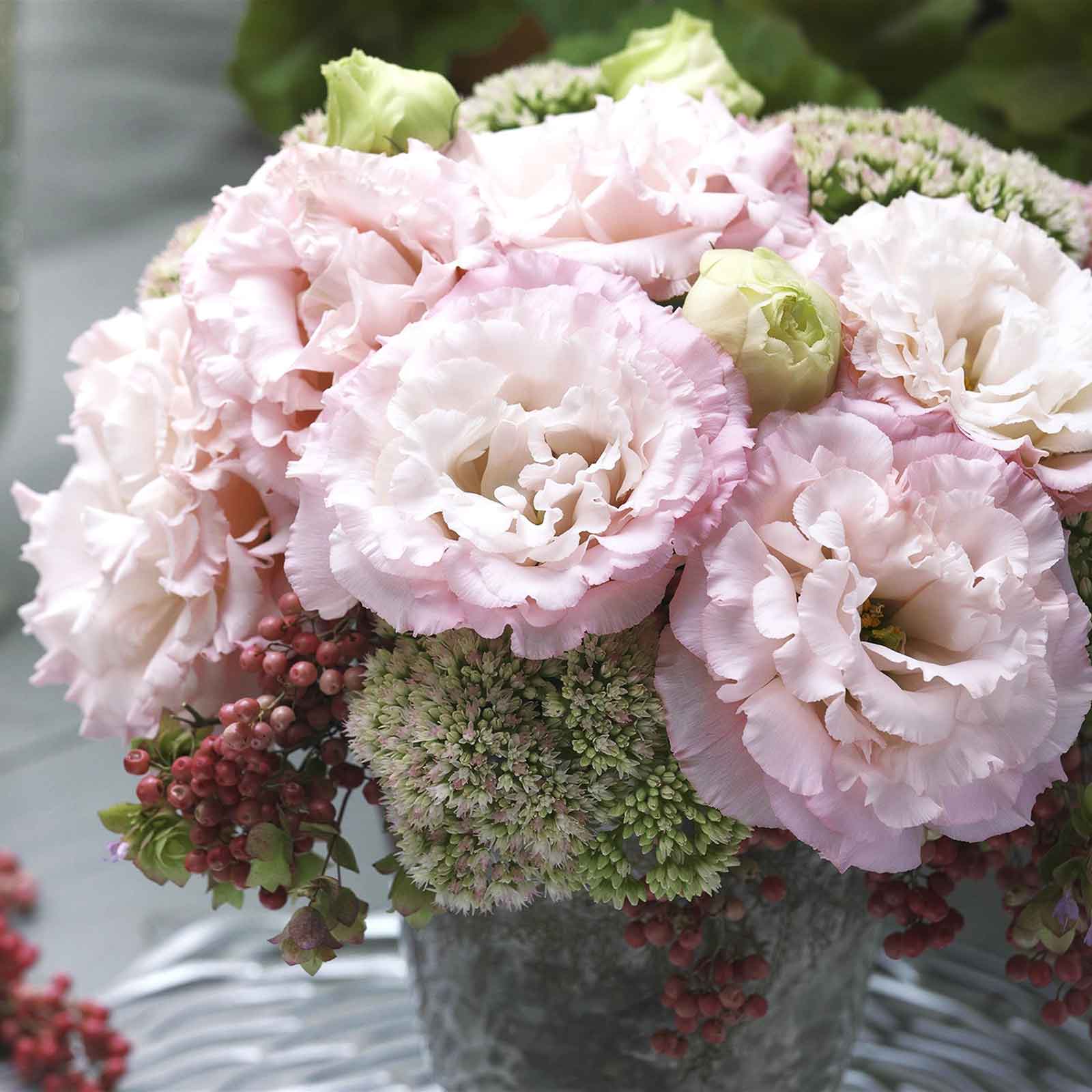 Lisianthus Seeds - Corelli Peach