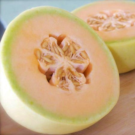 Melon Seeds - Honeydew Orange
