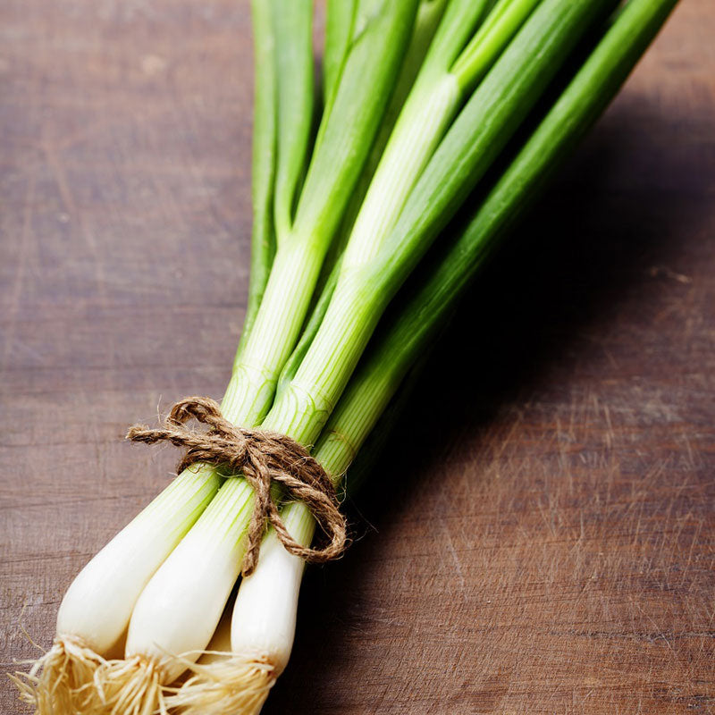 Onion Seeds - Evergreen White Nebuka