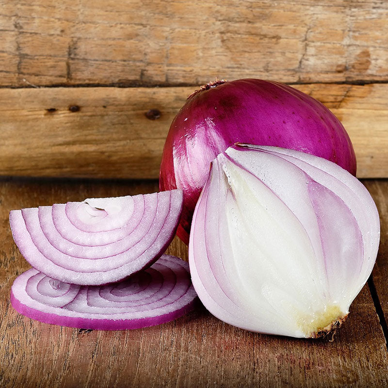 Onion Seeds - Red Burgundy