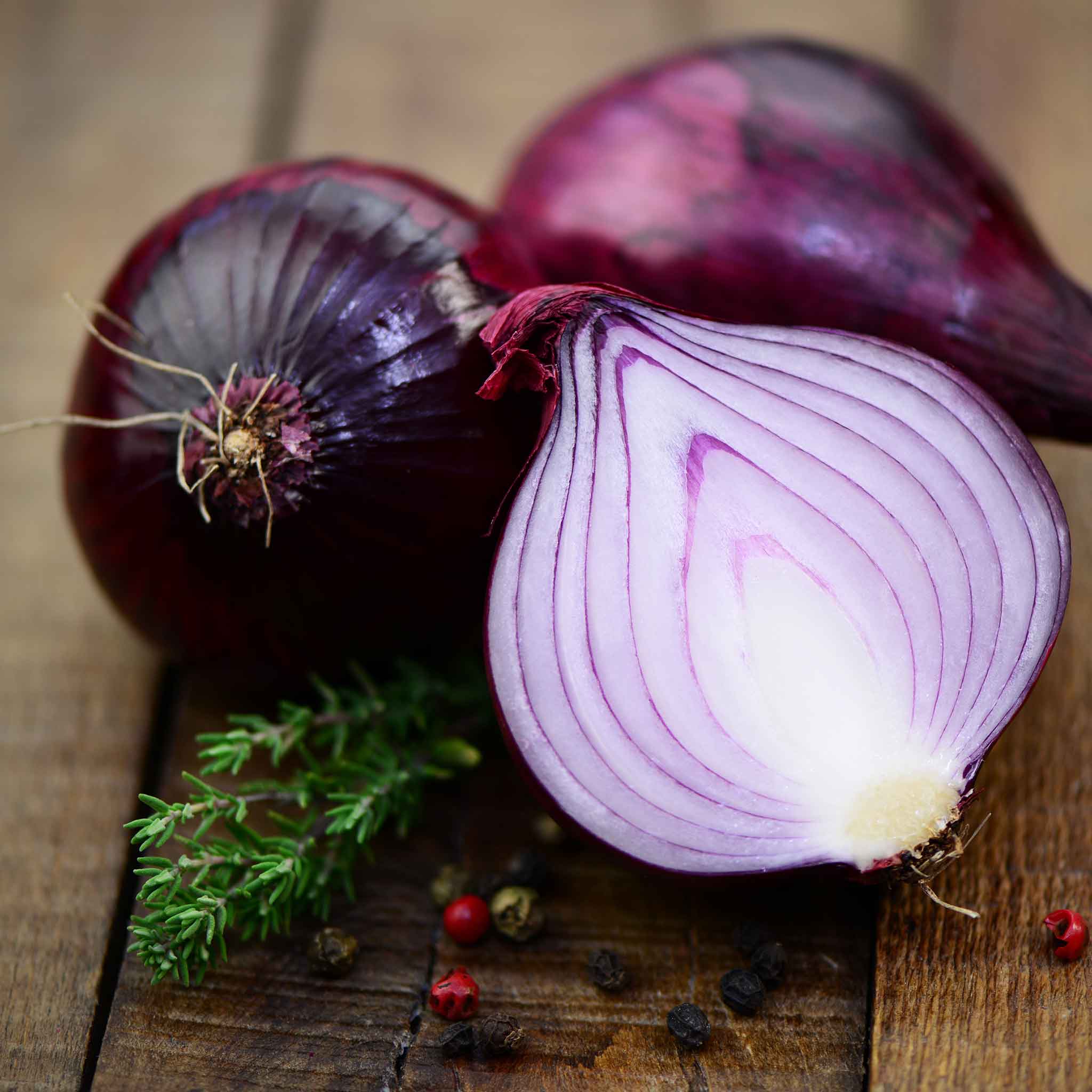 Onion Seeds - Red Carpet