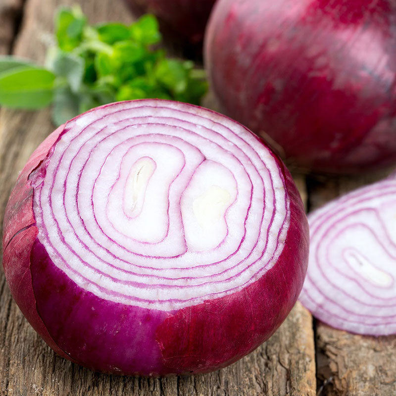 Onion Seeds - Red Grano