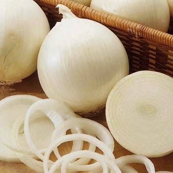 Onion Seeds - Ringmaster White Sweet Spanish
