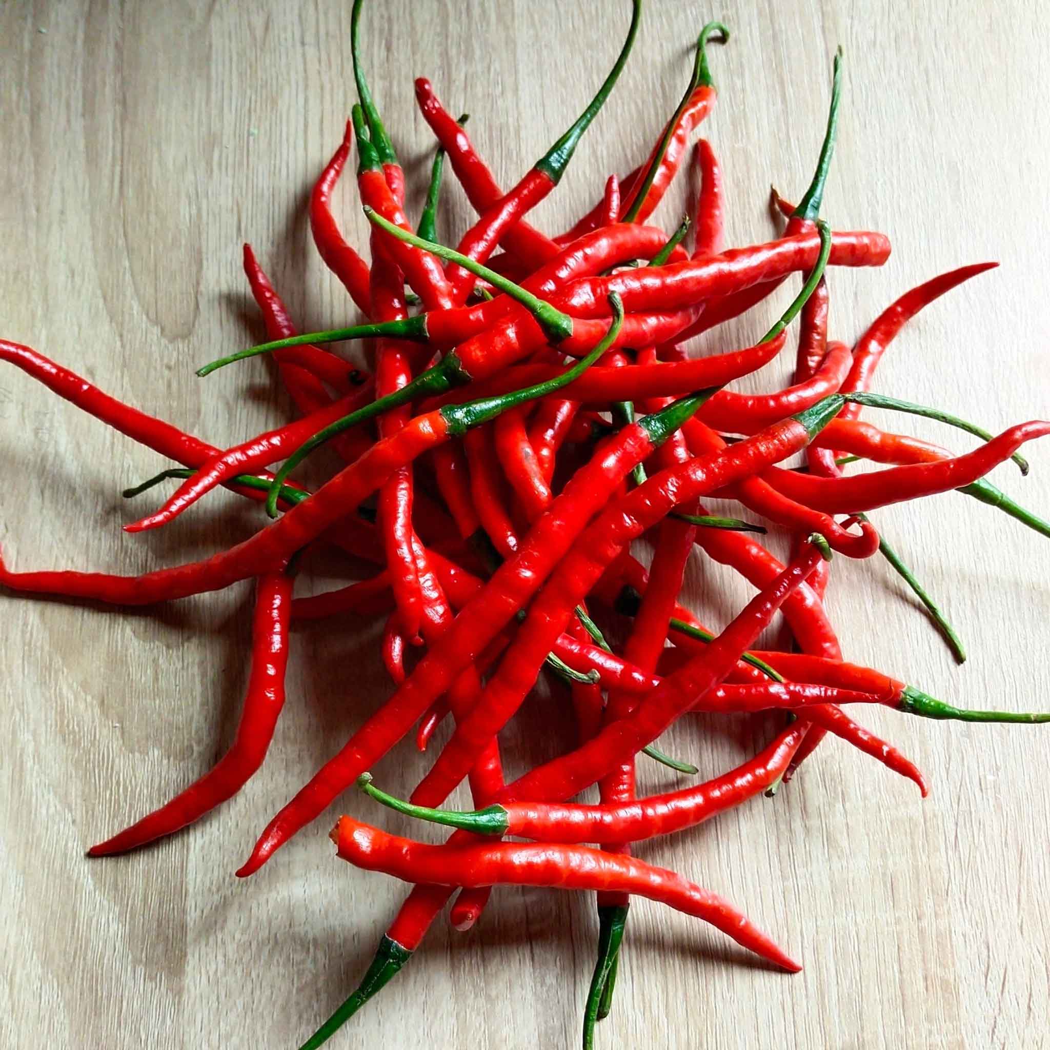 Organic Hot Pepper Seeds - Cayenne Long Red Thin