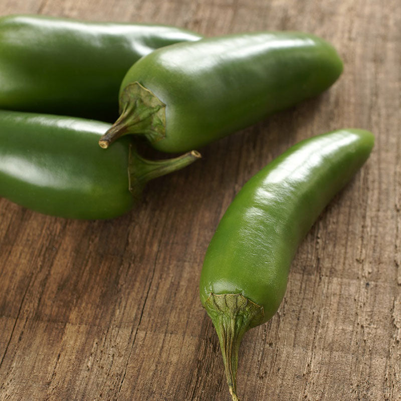 Organic Hot Pepper Seeds - Jalapeno Early
