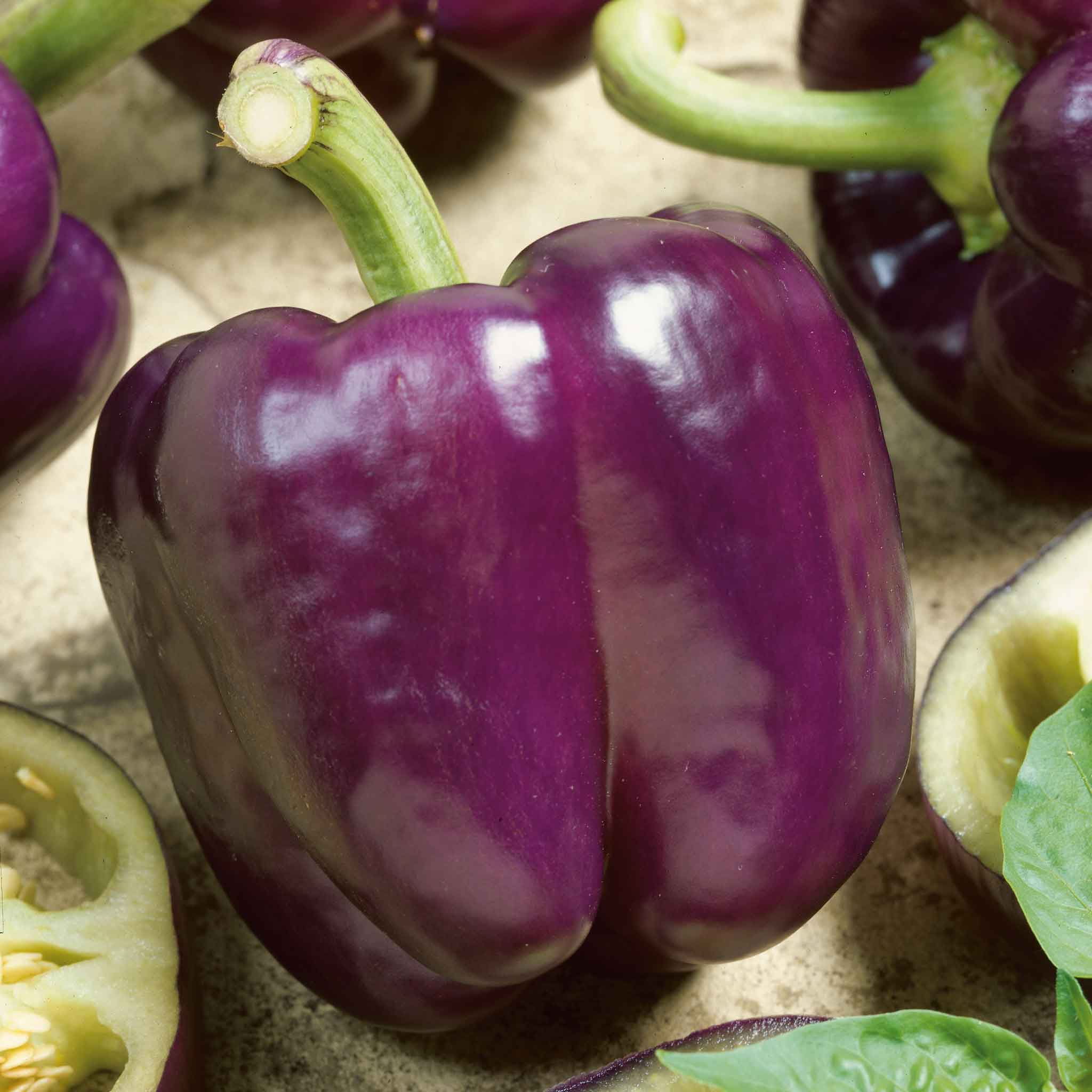 Sweet Pepper Seeds - Purple Beauty