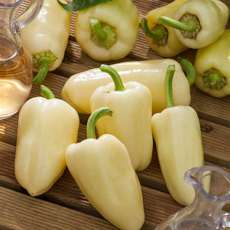 Sweet Pepper Seeds - White Bell