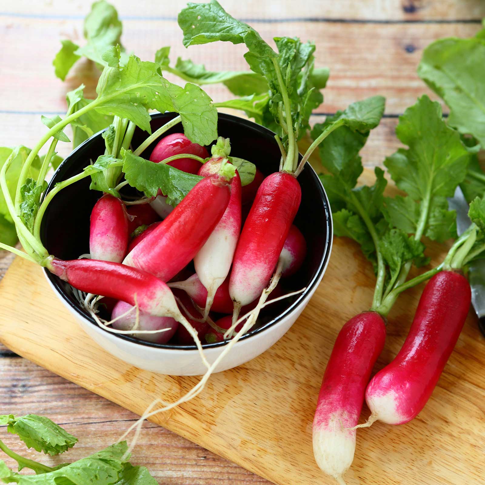 Organic Radish Seeds - French Breakfast