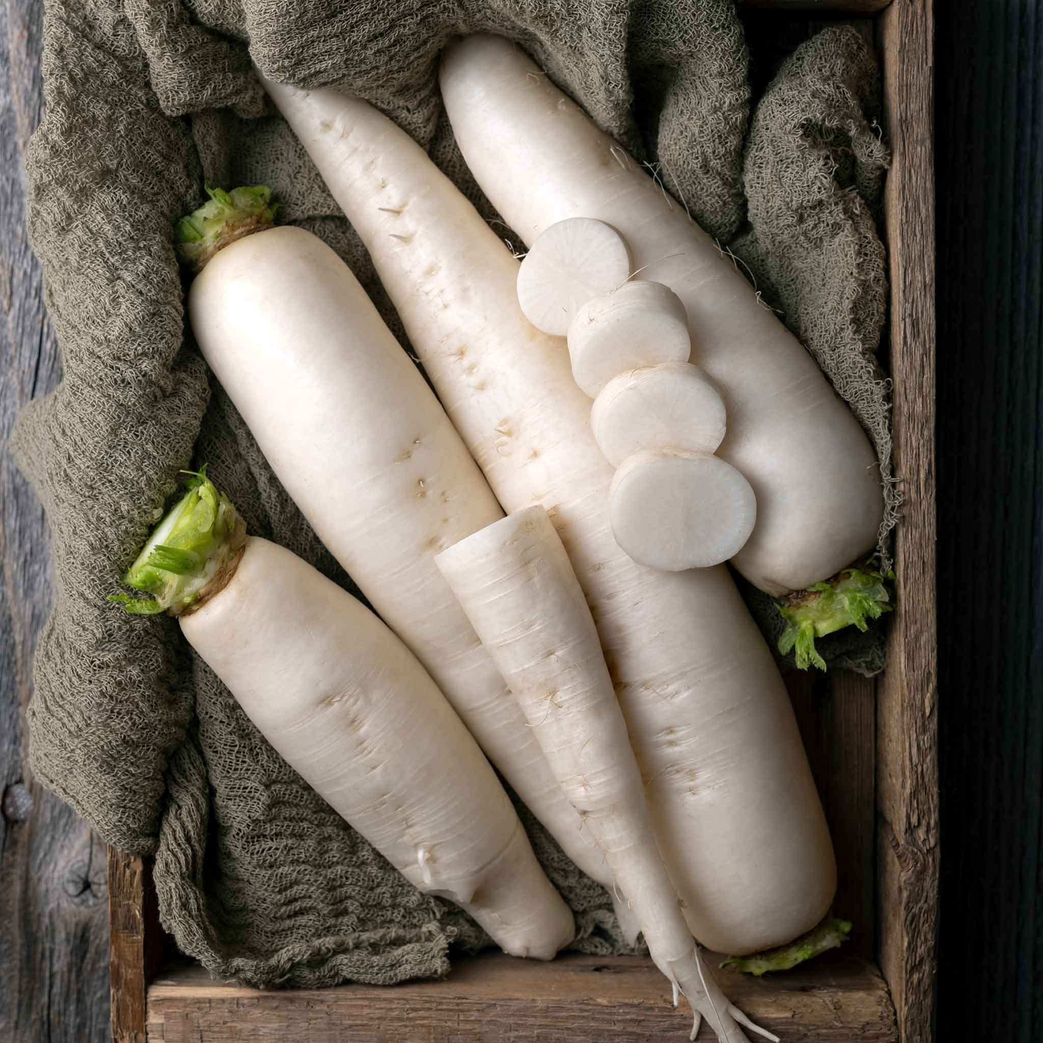 Organic Radish Seeds - Japanese Minowase Daikon