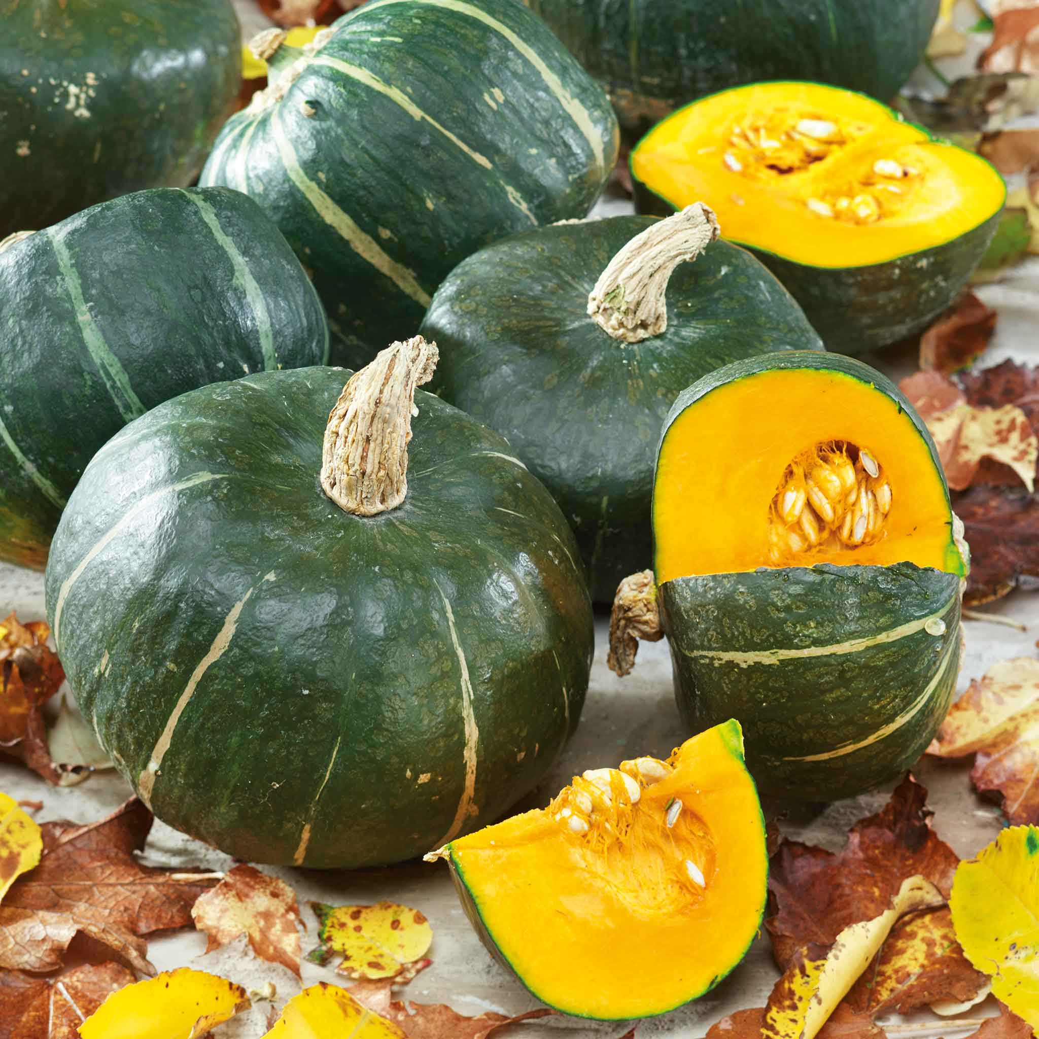 Winter Squash Seeds - Burgess Buttercup