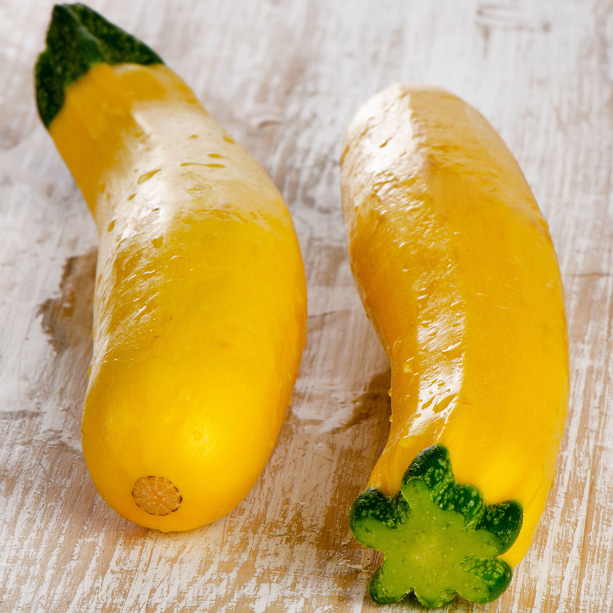Summer Squash Seeds - Early Prolific Straightneck