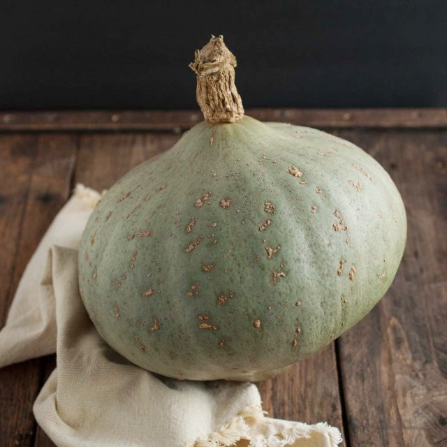 Winter Squash Seeds - Sweet Meat