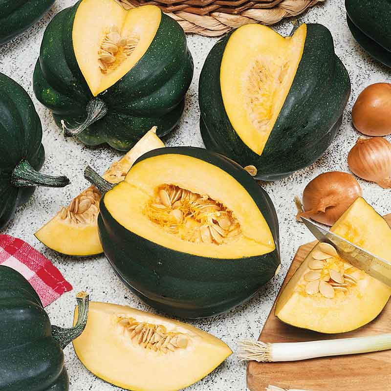 Winter Squash Seeds - Table King Bush